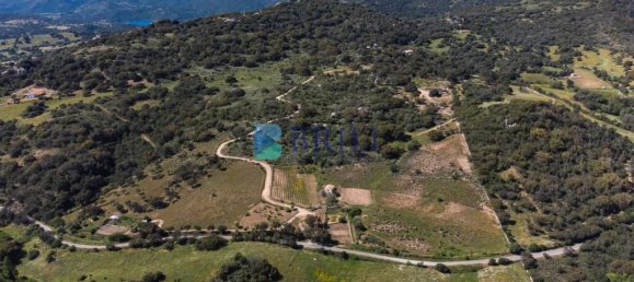 265m² Commercial property in Sant'Antonio di Gallura, Italy No. 326955 48