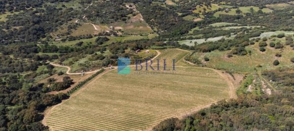 265m² Commercial property in Sant'Antonio di Gallura, Italy No. 326955 46