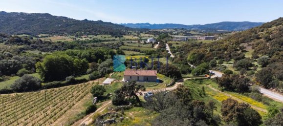 265m² Commercial property in Sant'Antonio di Gallura, Italy No. 326955 25