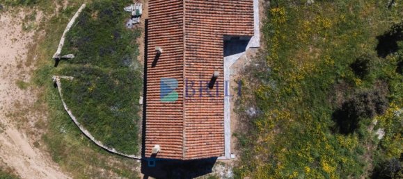 265m² Commercial property in Sant'Antonio di Gallura, Italy No. 326955 32