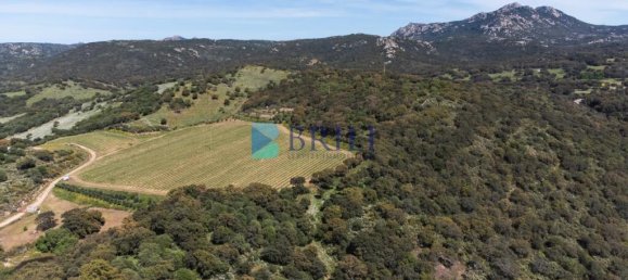 265m² Commercial property in Sant'Antonio di Gallura, Italy No. 326955 44