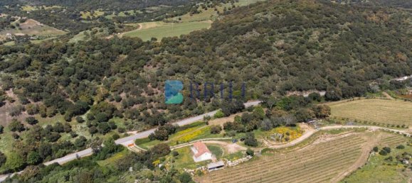 265m² Commercial property in Sant'Antonio di Gallura, Italy No. 326955 39