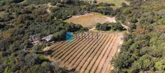 265m² Commercial property in Sant'Antonio di Gallura, Italy No. 326955 27