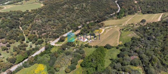 265m² Commercial property in Sant'Antonio di Gallura, Italy No. 326955 33