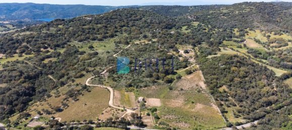 265m² Commercial property in Sant'Antonio di Gallura, Italy No. 326955 50