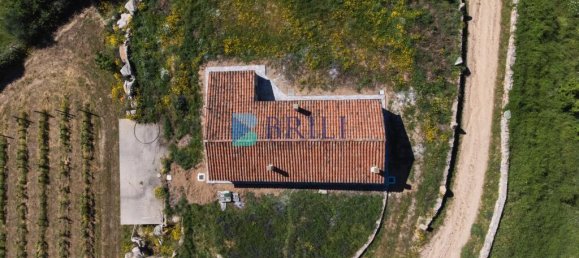 265m² Commercial property in Sant'Antonio di Gallura, Italy No. 326955 3