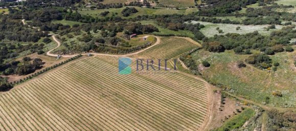 265m² Commercial property in Sant'Antonio di Gallura, Italy No. 326955 45