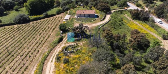 265m² Commercial property in Sant'Antonio di Gallura, Italy No. 326955 17