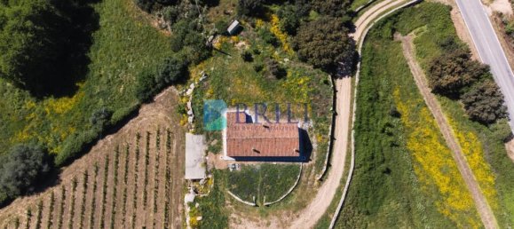 265m² Commercial property in Sant'Antonio di Gallura, Italy No. 326955 15