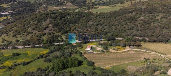 265m² Commercial property in Sant'Antonio di Gallura, Italy No. 326955 22