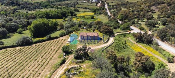 265m² Commercial property in Sant'Antonio di Gallura, Italy No. 326955 24
