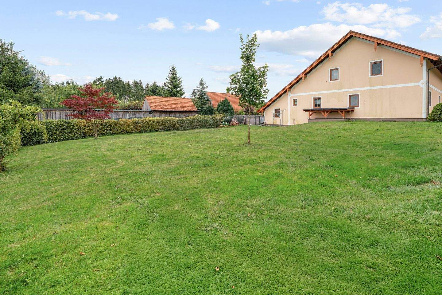 Terrain à Moosdorf, Austria No. 193972