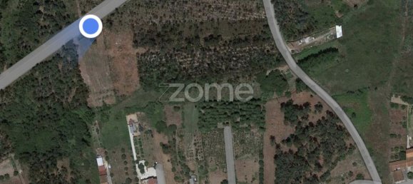 7200m² Land in Penacova, Portugal No. 62169 13