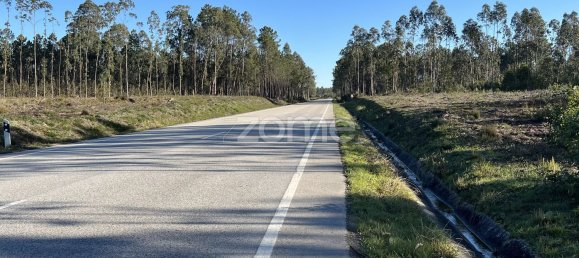 7200m² Land in Penacova, Portugal No. 62169 11