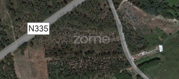 7200m² Land in Penacova, Portugal No. 62169 14