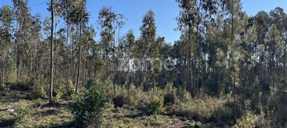 7200m² Land in Penacova, Portugal No. 62169 8