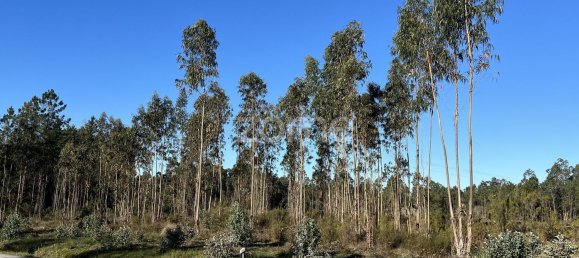 7200m² Land in Penacova, Portugal No. 62169 12