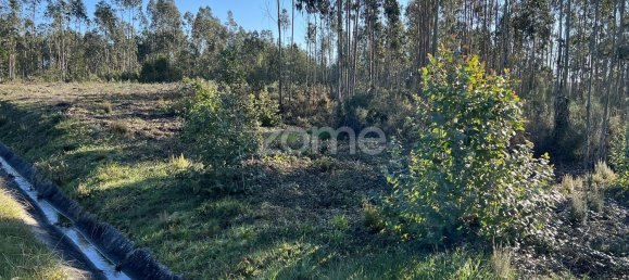 7200m² Land in Penacova, Portugal No. 62169 10