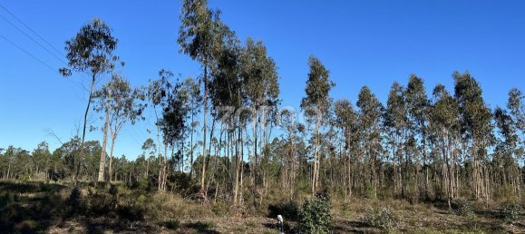 7200m² Land in Penacova, Portugal No. 62169 7