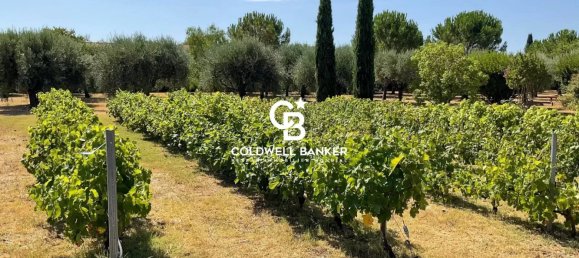 5 bedrooms House in Sollies-Pont, France No. 297476 6