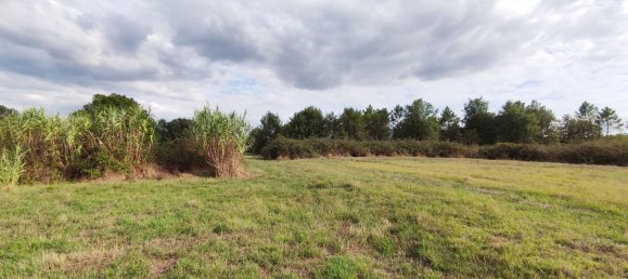 9 Schlafzimmer Villa in Castelfranco di Sotto, Italy, Nr. 326017 9