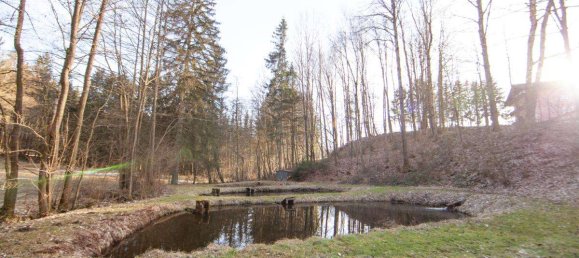 Hotel de 100 divisões em Cham, Germany N.º 258789 26
