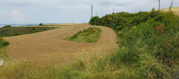 Hotel in Chalkidiki, Greece 7000m², Nr. 7398 10