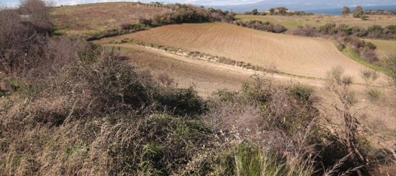 Отель, гостиница 7000м² в Халкидики, Греция № 7398 3