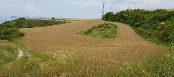 Hotel in Chalkidiki, Greece 7000m², Nr. 7398 8