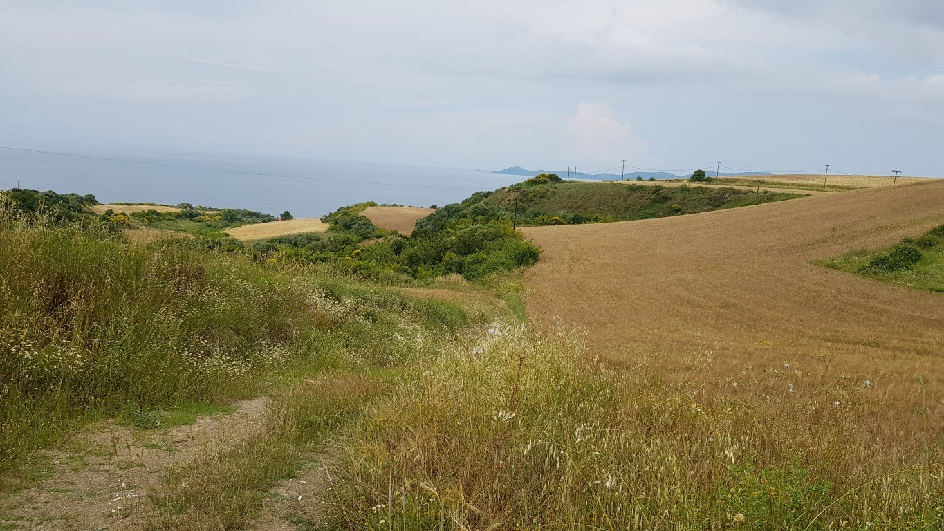 Hotel in Chalkidiki, Greece 7000m², Nr. 7398