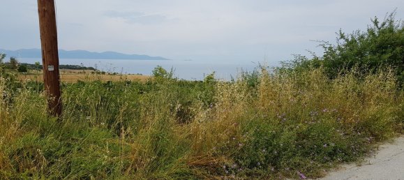 Hotel in Chalkidiki, Greece 7000m², Nr. 7398 11