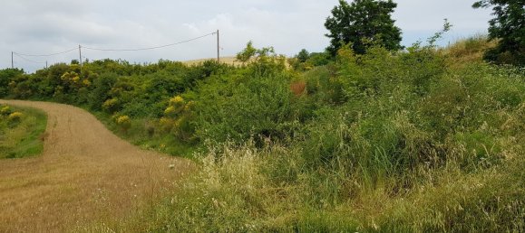 Отель, гостиница 7000м² в Халкидики, Греция № 7398 7