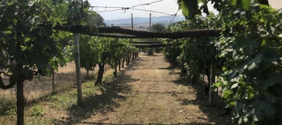 4 Schlafzimmer Haus in Alvito, Italy, Nr. 55822 3