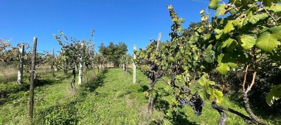 4 Schlafzimmer Haus in Alvito, Italy, Nr. 55822 13