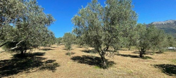 4 Schlafzimmer Haus in Alvito, Italy, Nr. 55822 8