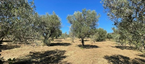 4 Schlafzimmer Haus in Alvito, Italy, Nr. 55822 5