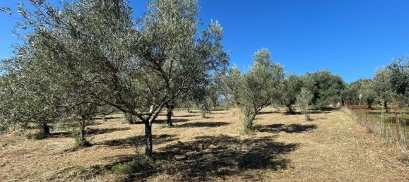 4 Schlafzimmer Haus in Alvito, Italy, Nr. 55822 4