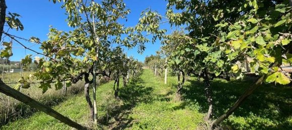 4 Schlafzimmer Haus in Alvito, Italy, Nr. 55822 18