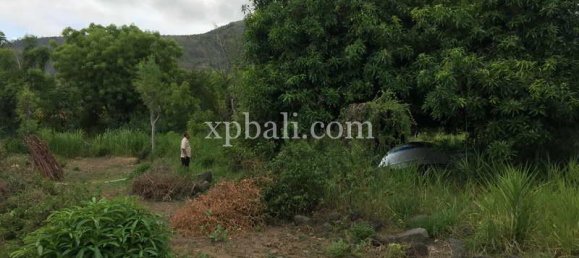 Terrain à Karangasem, Indonesia 3350m² No. 3799 8