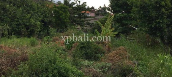 Terrain à Karangasem, Indonesia 3350m² No. 3799 4