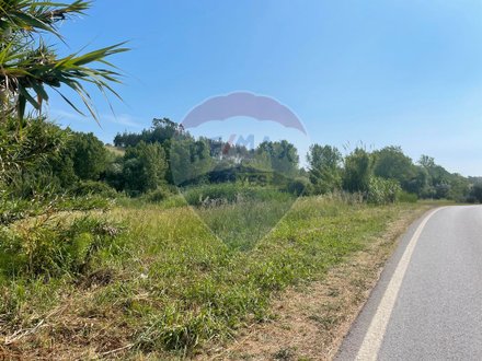  قطعة أرض في Alcobaca, Portugal 2720متر مربع رقم 60657