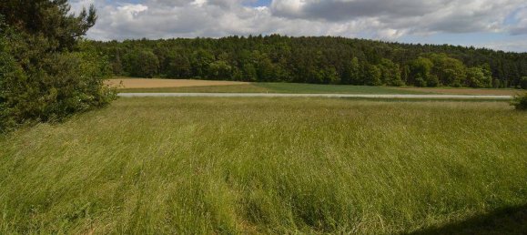 4 bedrooms House in Gussing, Austria No. 185810 8