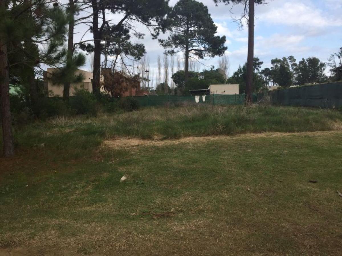  Land in Maldonado, Uruguay No. 15333