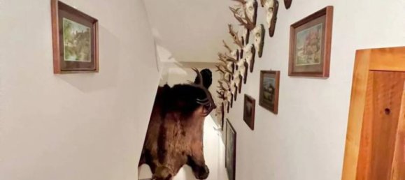 15 bedrooms Villa in Udine, Italy No. 333018 30