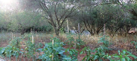 6 bedrooms Commercial property in Thessaloniki, Greece No. 7141 19