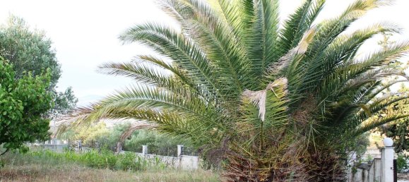 6 bedrooms Commercial property in Thessaloniki, Greece No. 7141 27