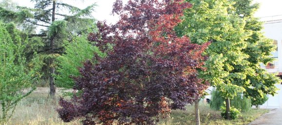 6 bedrooms Commercial property in Thessaloniki, Greece No. 7141 28