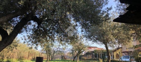 3 chambres Villa à Gallicano nel Lazio, Italy No. 321320 19