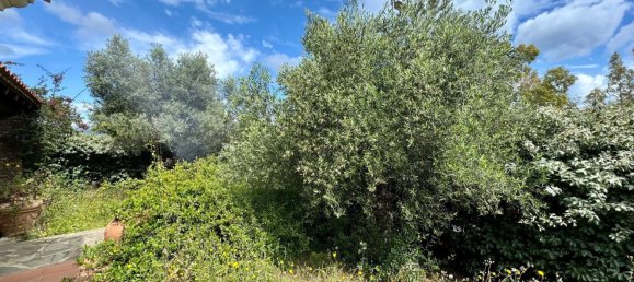 4 rooms Villa in Budoni, Italy No. 128584 10