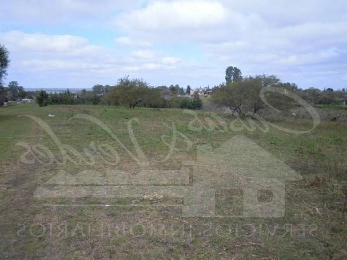  Land in Entre Rios, Argentina No. 32927
